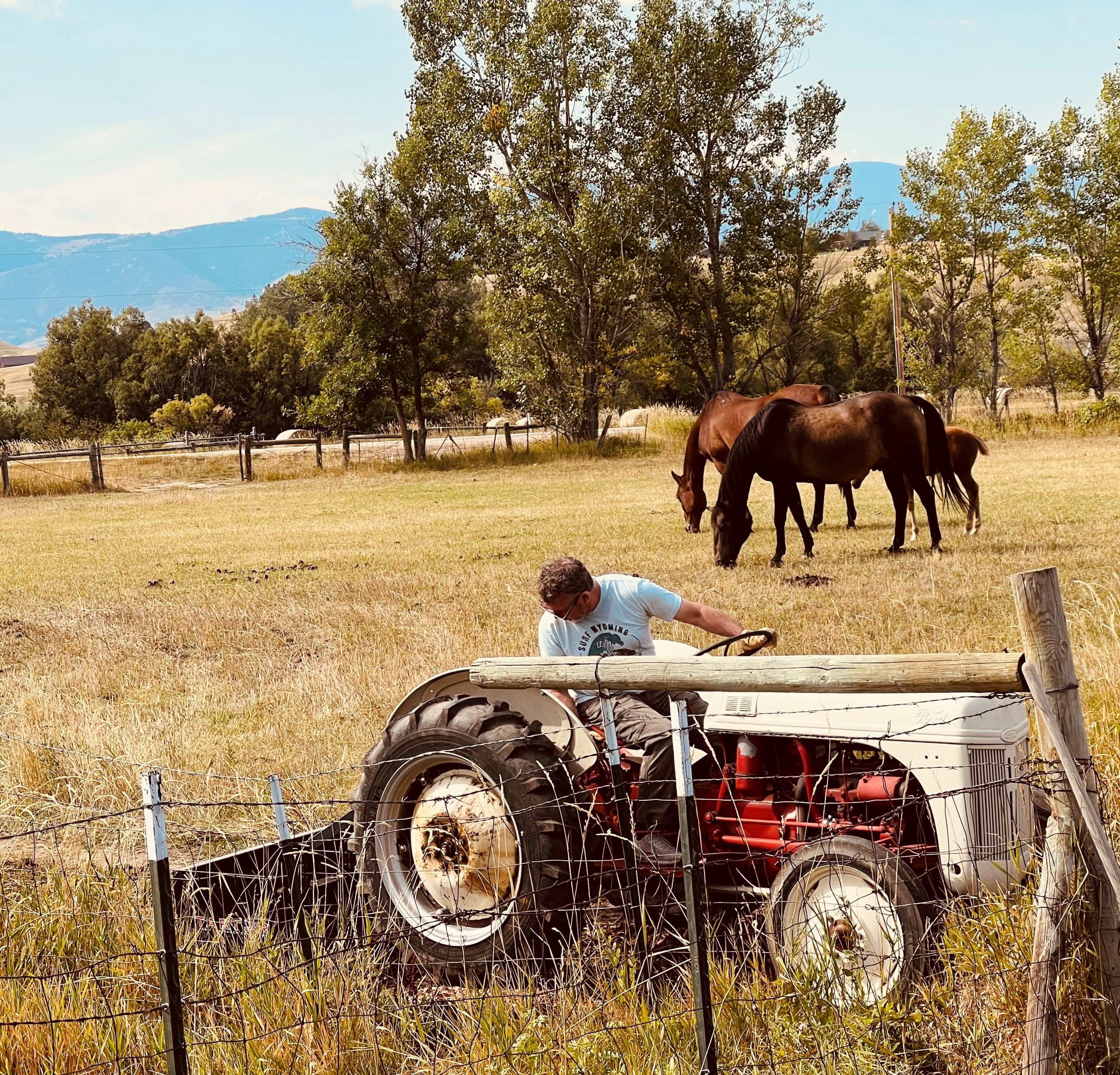 11 Horses & Tractor Photo