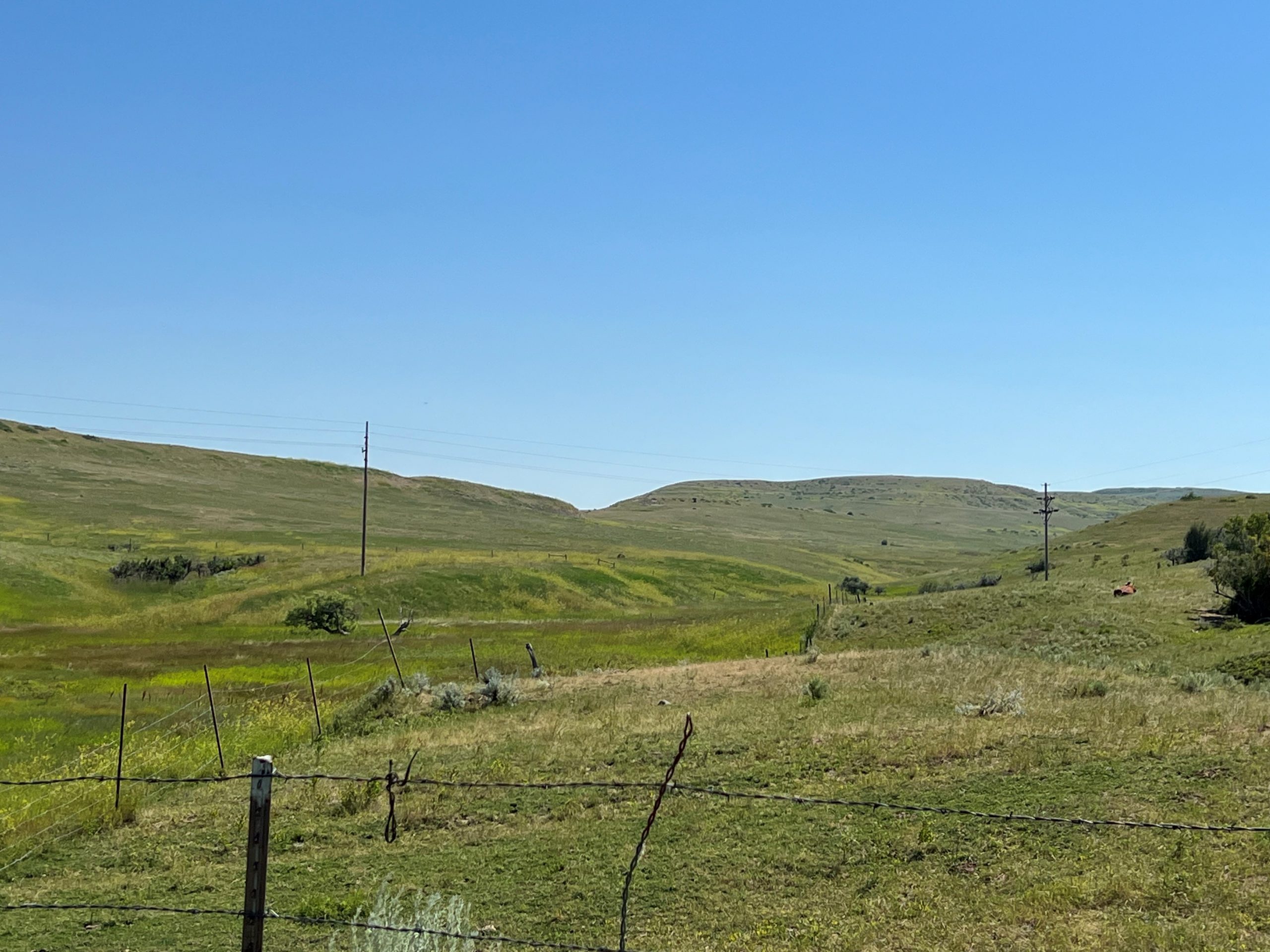 15 Homesite Backyard View Photo